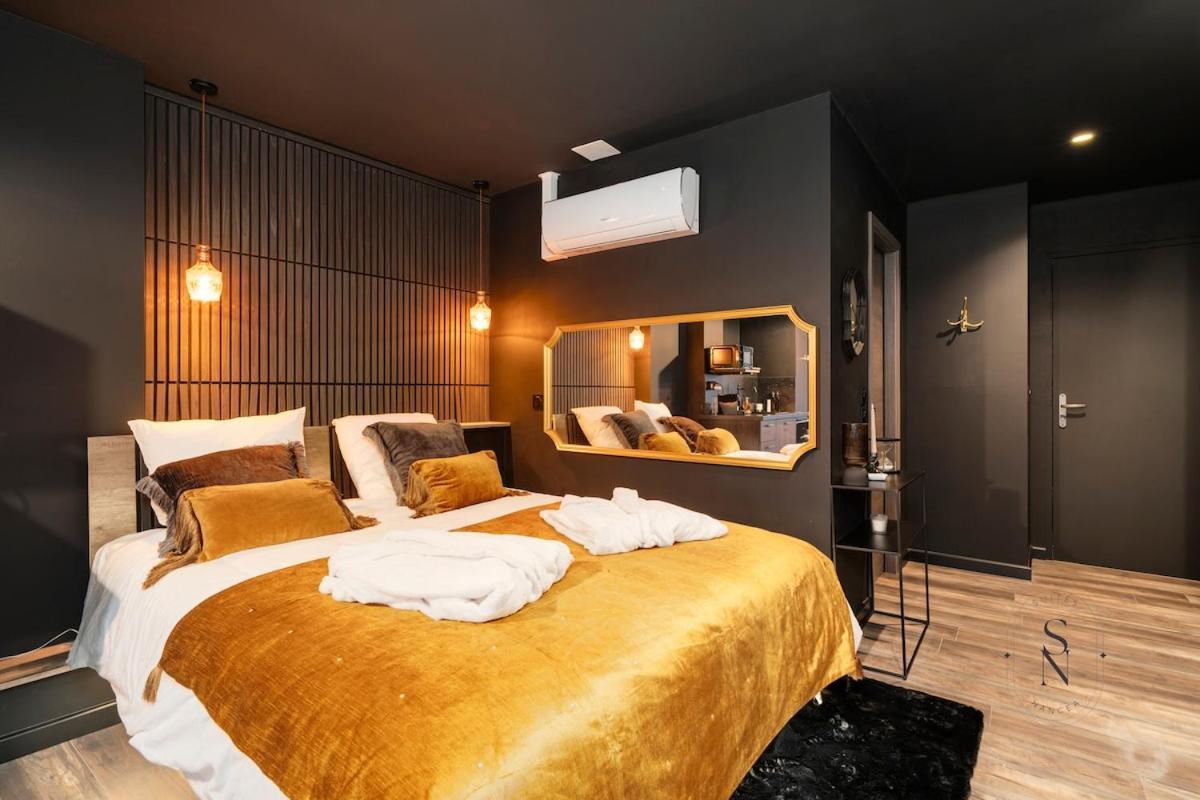 Appartement Encorps Nuit, Jacuzzi, Centre Gare Congres, Parking Nancy